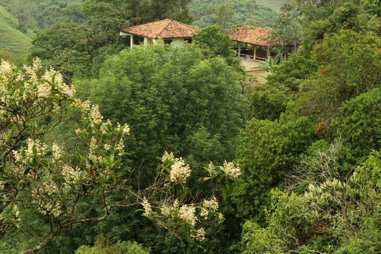Eco Hotel El Columpio Salento Buitenkant foto